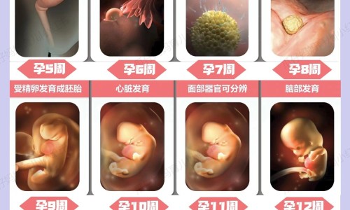 呼吸机病人撤机前护士做何准备网呼吸机撤机四个指征知识网站,分享呼吸机撤机的三个阶段大全